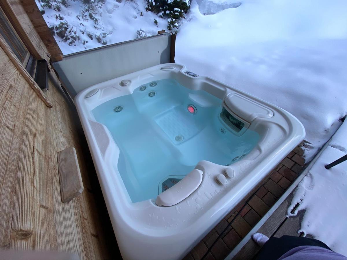 Chalet Sodamin Alpin Mit Wellness Hohentauern Εξωτερικό φωτογραφία